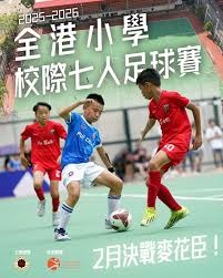 世界杯梦想背后的故事与启示